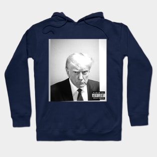 Donald Trump Mugshot Album Cover Hoodie